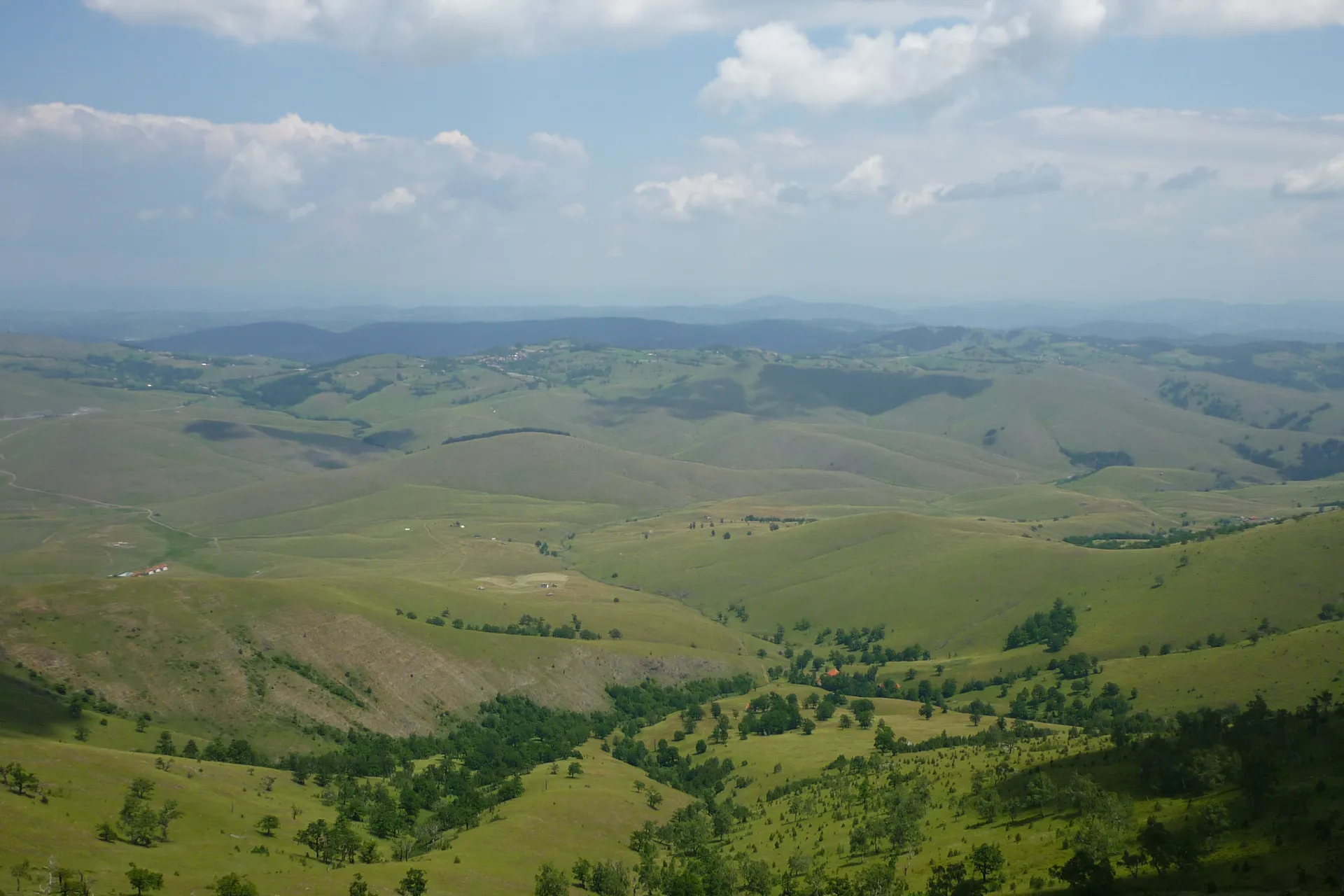 Zeleni obronci i borove šume Zlatibora pod širokim letnjim nebom